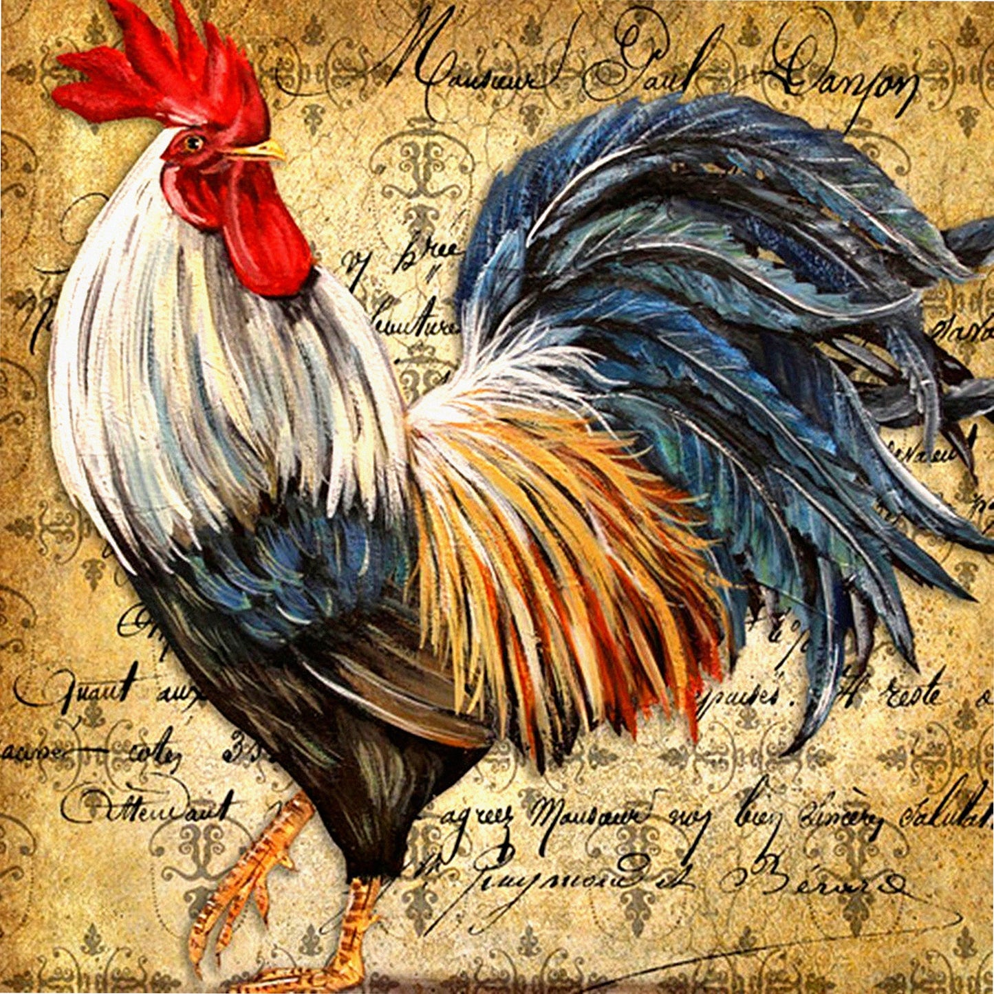 Vintage Rooster Art Decorative Pillow Cover - Square Cushion Case with Zipper Closure (20x20 inch) - Farmhouse Style Throw Pillow Case
