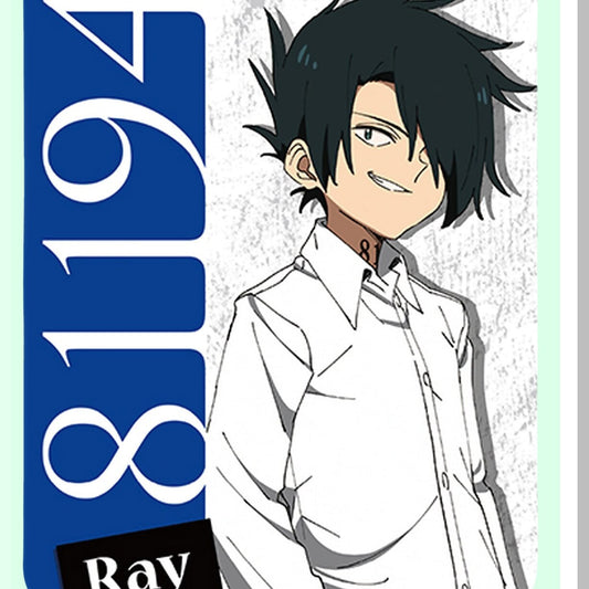 Promised Haven: Ray's Sublimation Throw Blanket, Multicolor Comfort