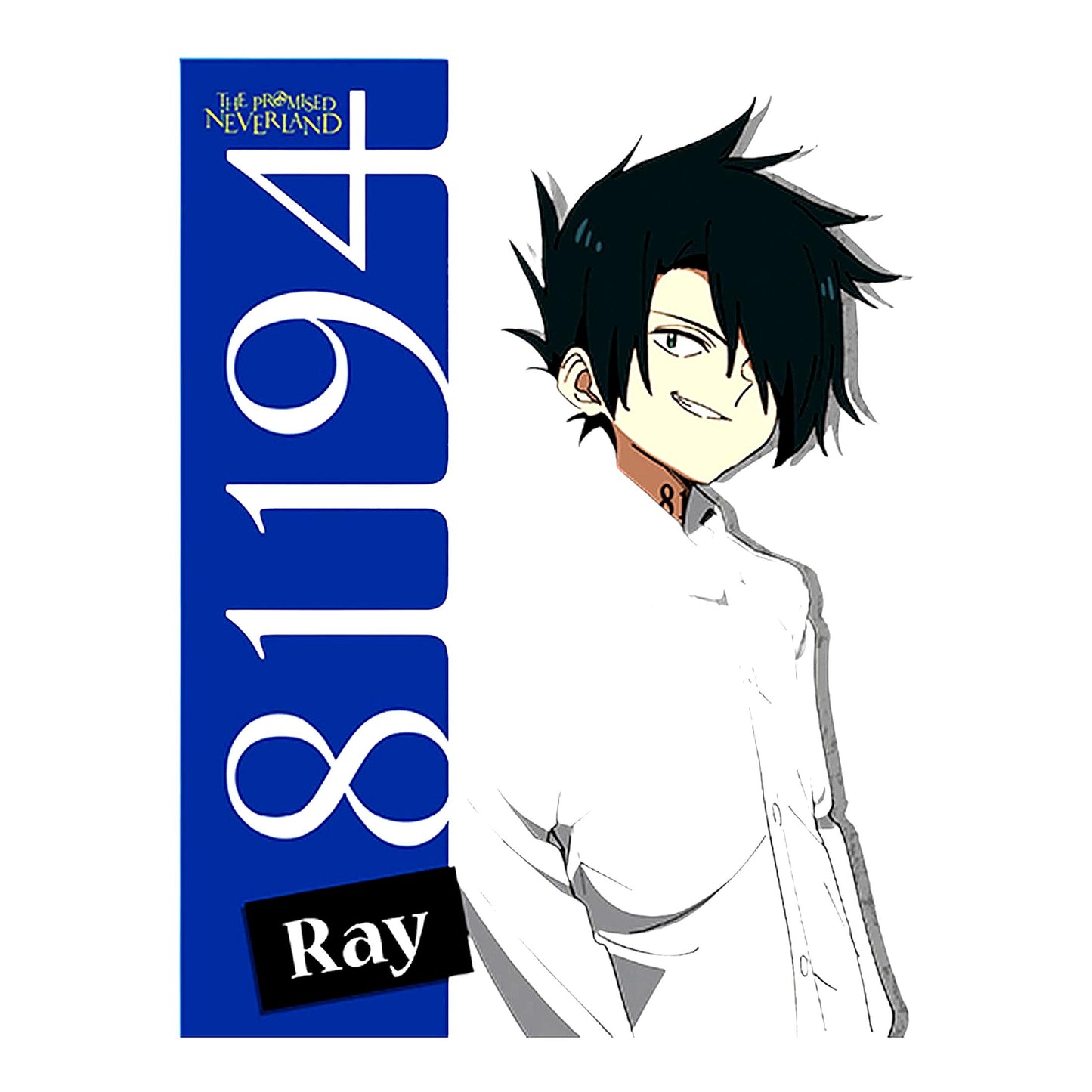 Promised Haven: Ray's Sublimation Throw Blanket, Multicolor Comfort