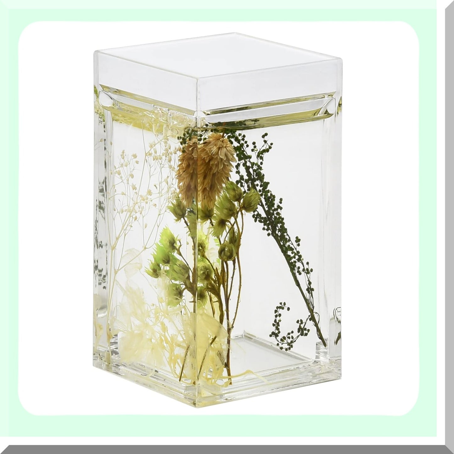 4 Piece Acrylic Floating Bathroom Vanity Accessory Set Green Plants