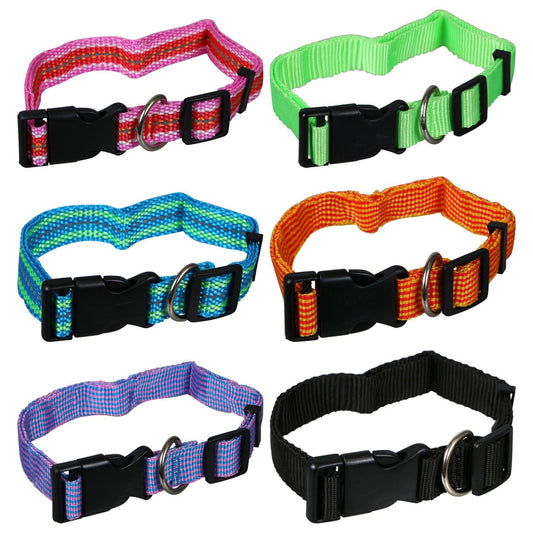 Greenbrier Kennel Club Large Adjustable Dog Collars (Pack of 18)