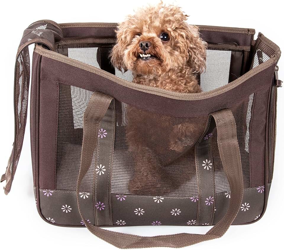 Pet Surround-View Travel Dog Carrier with Sunroof