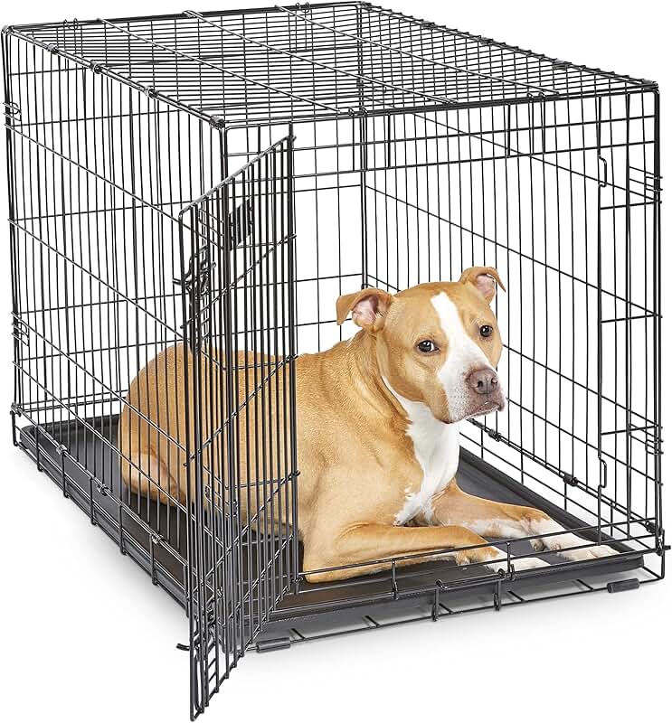36-Inch Folding Dog Crate with Divider and Leak-Proof Tray