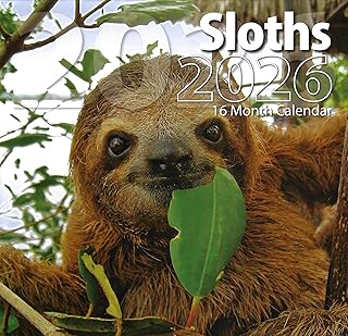 2026 Sloths Full Size Wall Calendar