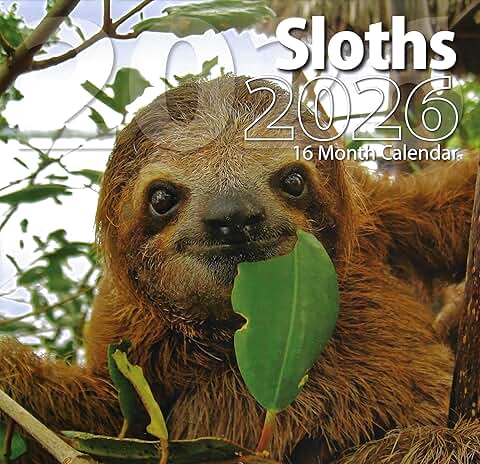 2026 Sloths Full Size Wall Calendar
