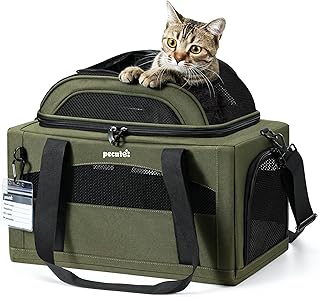 Expandable Soft Pet Carrier for Small Dogs and Cats