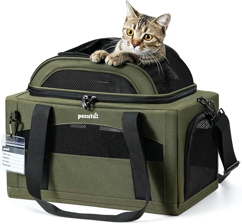 Expandable Soft Pet Carrier for Small Dogs and Cats