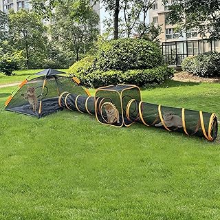 Outdoor Cat Enclosure with Tunnel and Play Area