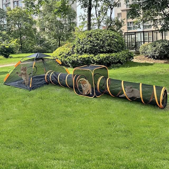Outdoor Cat Enclosure with Tunnel and Play Area
