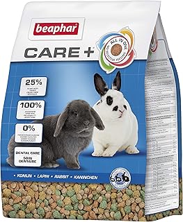 Care for Adult Rabbits