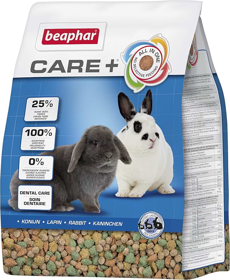 Care for Adult Rabbits