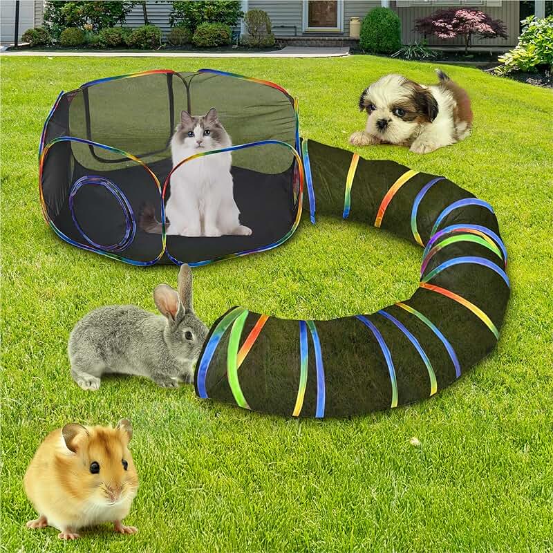 Outdoor 2-in-1 Cat Tunnel and Play Tent
