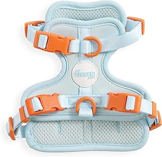 Small adjustable padded pet harness with buckles and clips