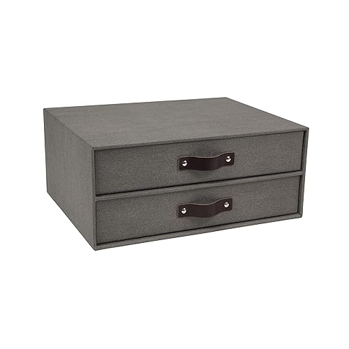 2-Drawer Canvas Fiberboard Letter Document Box