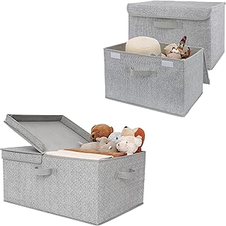 Granny Says Hanging Organizer and Closet Storage Bins