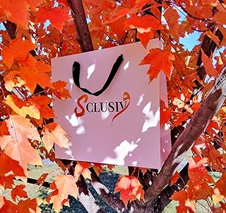 Elegant gift bag with wrapping papers handles and greeting card