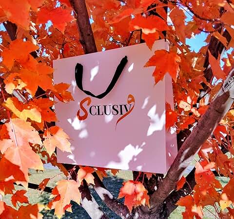 Elegant gift bag with wrapping papers handles and greeting card