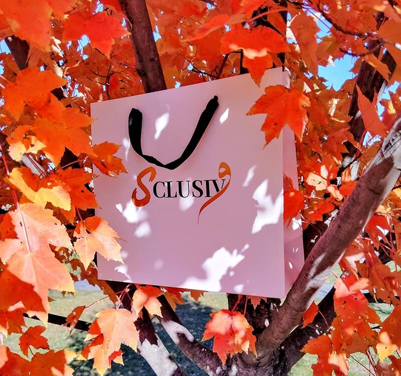 Elegant gift bag with wrapping papers handles and greeting card