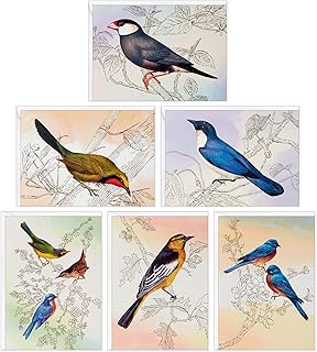 Set of 24 blank bird note cards with envelopes