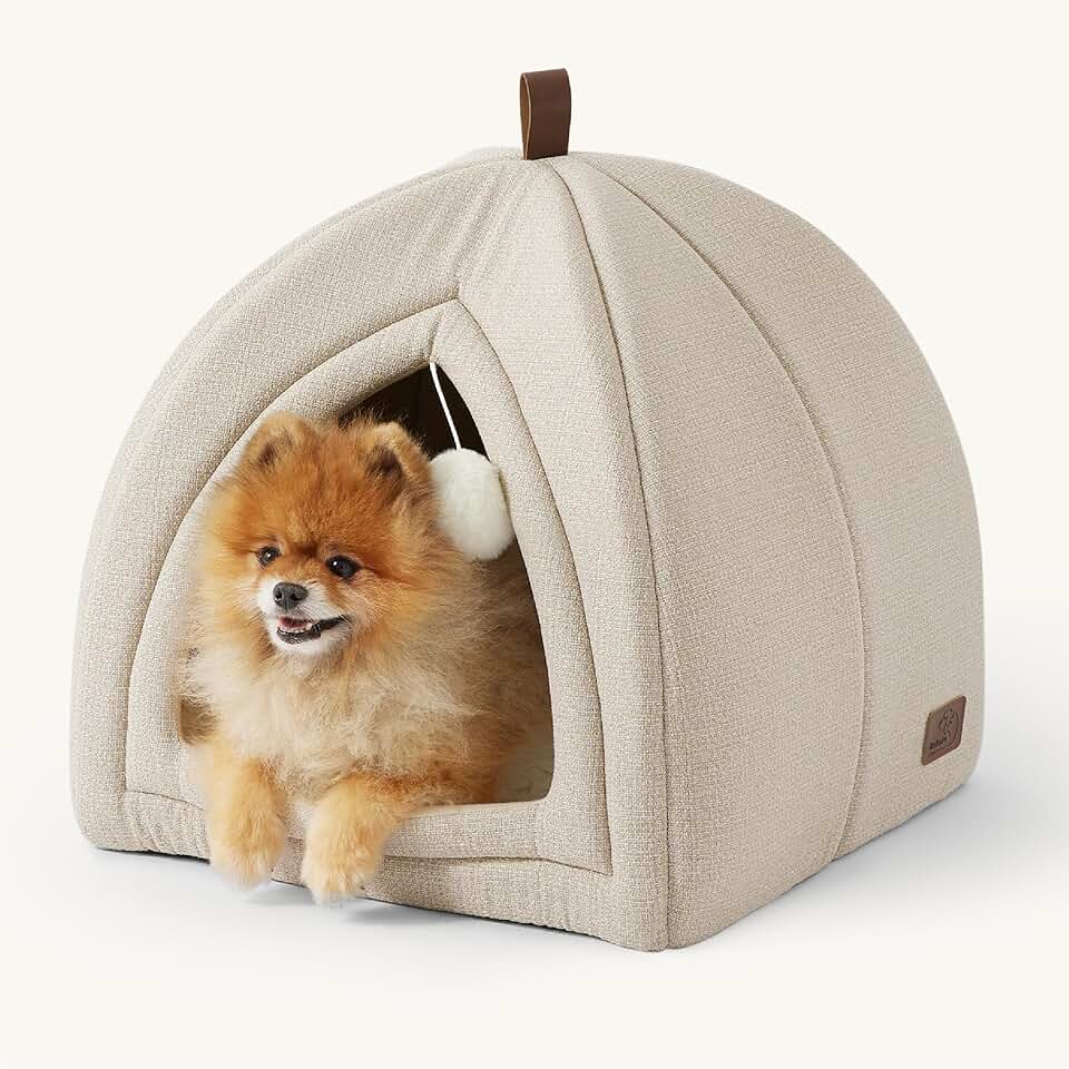 Comfortable 2-in-1 Cat Bed with Washable Pillow