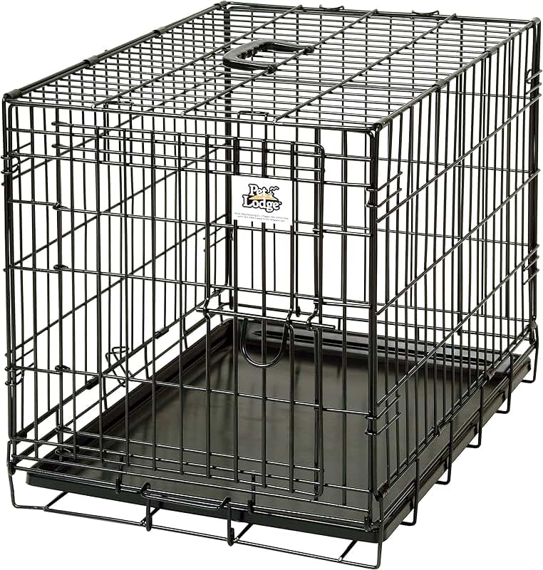 Small Wire Dog Crate for Pets Up to 30lbs