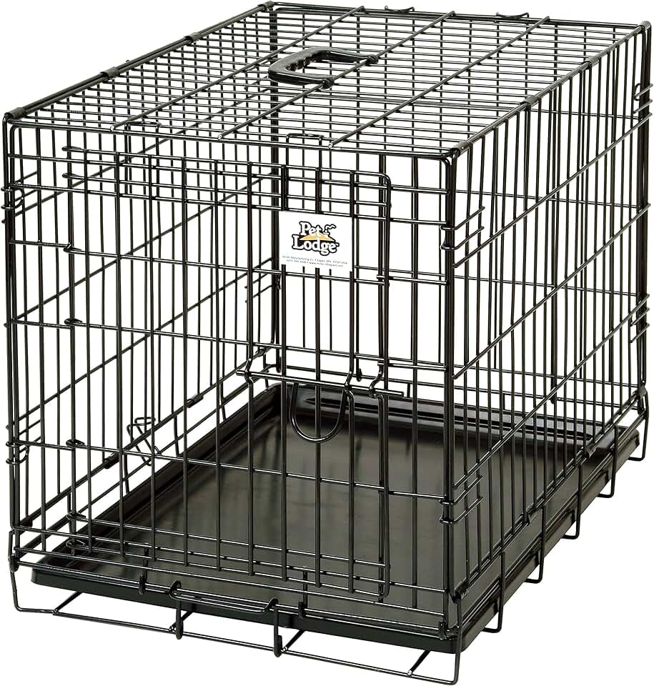 Small Wire Dog Crate for Pets Up to 30lbs