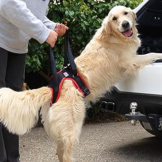 Dog Support Harness for Back Legs with Handle