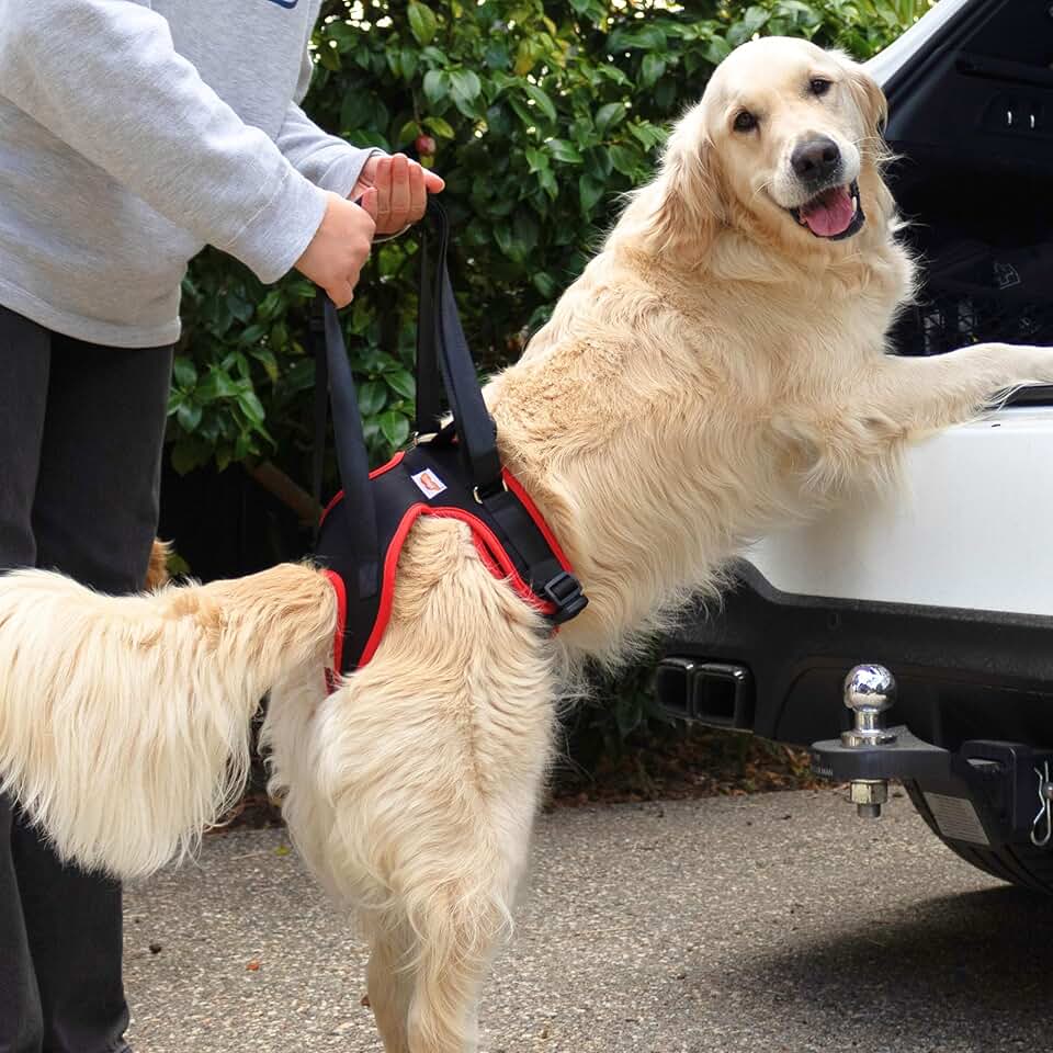 Dog Support Harness for Back Legs with Handle