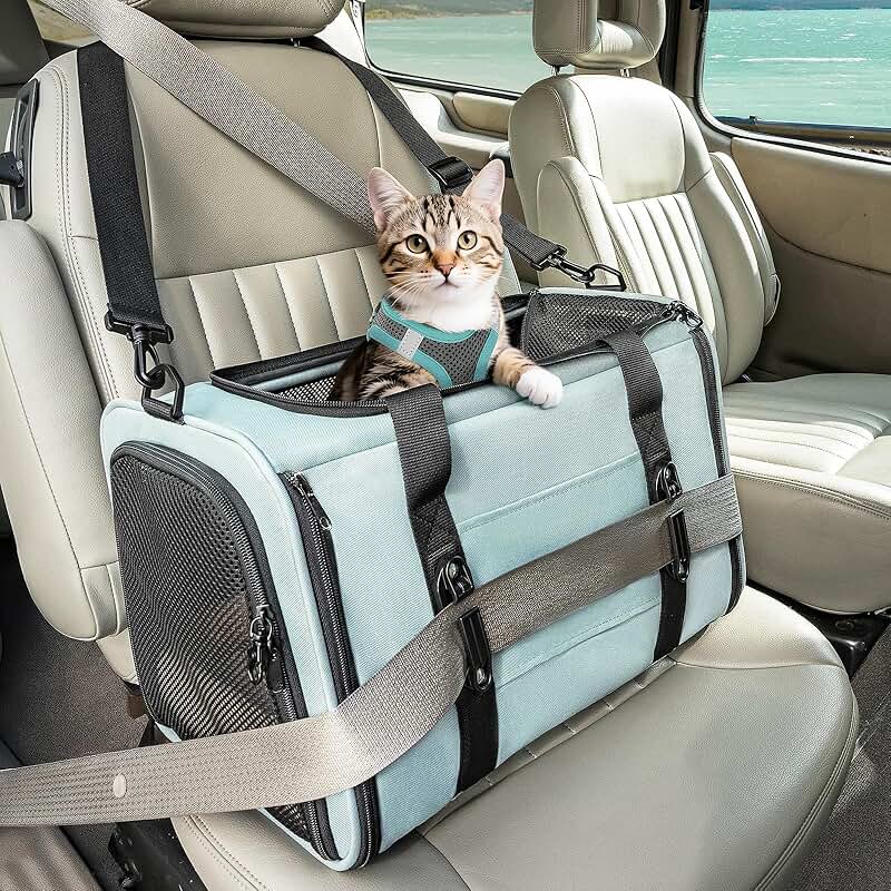 Pet Carrier for Small and Medium Cats and Dogs