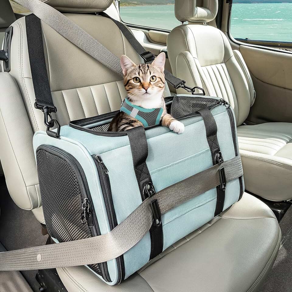 Pet Carrier for Small and Medium Cats and Dogs
