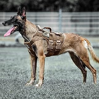 Tactical Dog Harness for Training and Service