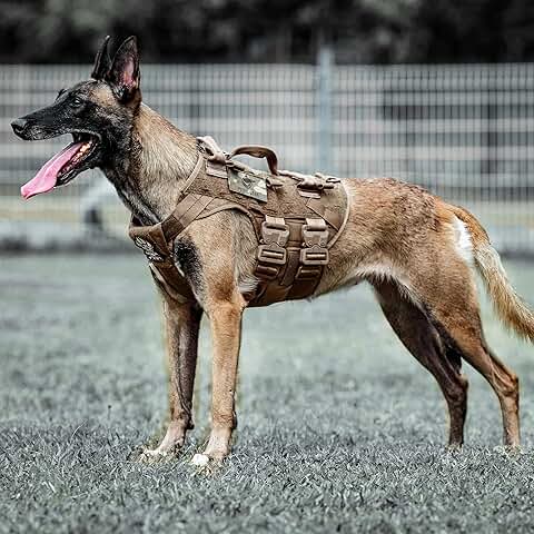 Tactical Dog Harness for Training and Service