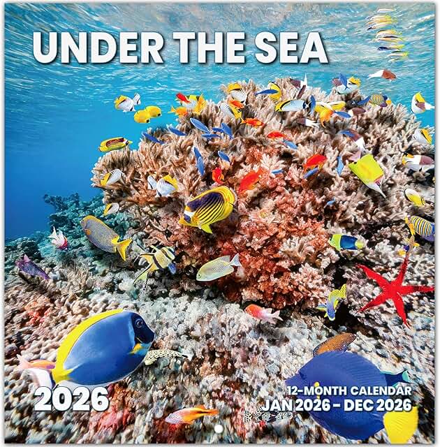 2026 Under the Sea Wall Calendar, 14 Months