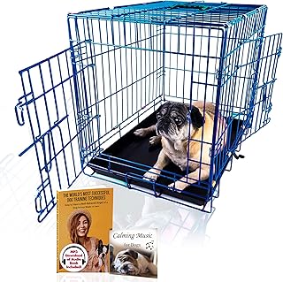 Colorful 24-Inch Foldable Dog Crate with 2 Doors
