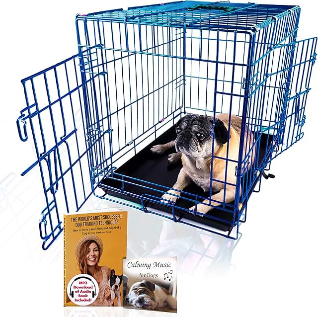 Colorful 24-Inch Foldable Dog Crate with 2 Doors