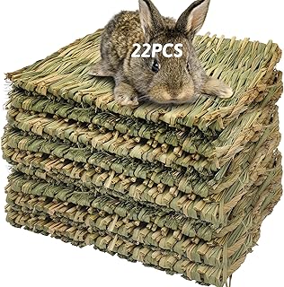 Grass Mat for Small Animals and Pets (22 Pieces)