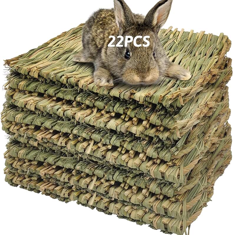 Grass Mat for Small Animals and Pets (22 Pieces)