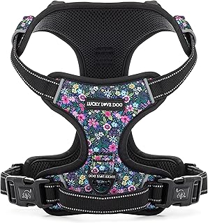 Adjustable Cute Dog Harness for Small to Large Dogs