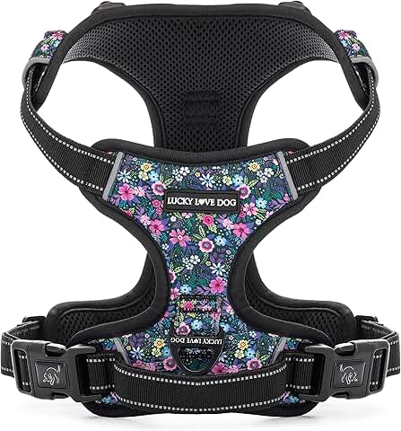 Adjustable Cute Dog Harness for Small to Large Dogs