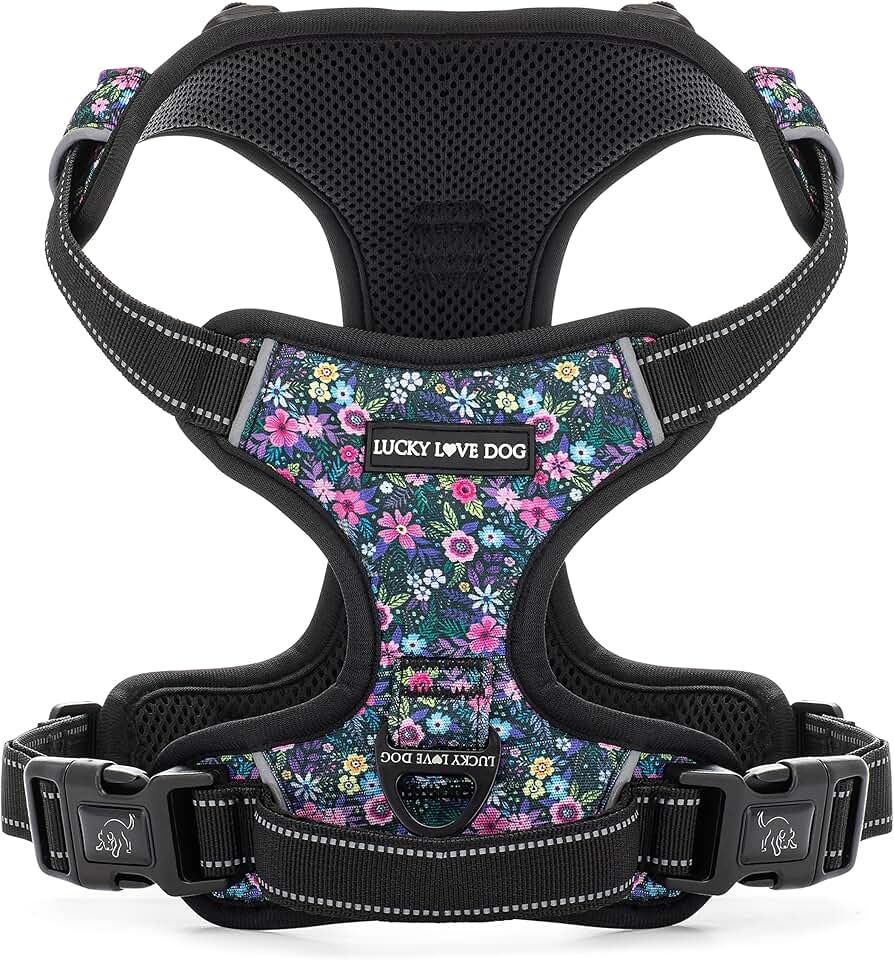 Adjustable Cute Dog Harness for Small to Large Dogs