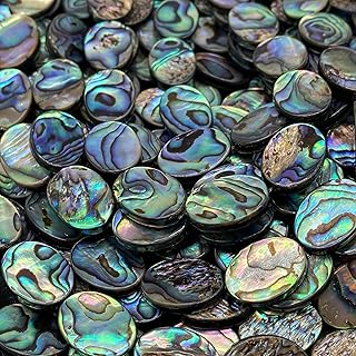 28 AAA Abalone Shell Beads, 10x14mm, Full Strand