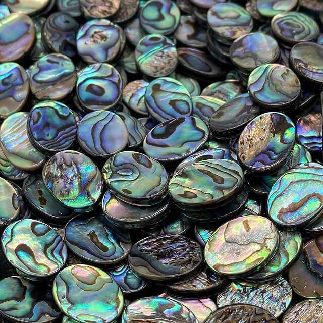 28 AAA Abalone Shell Beads, 10x14mm, Full Strand