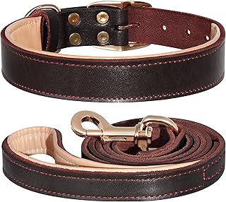 Soft Leather Dog Collar and Leash Set for Medium and Large Dogs