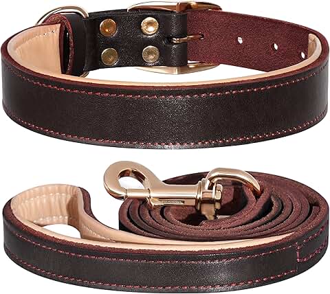 Soft Leather Dog Collar and Leash Set for Medium and Large Dogs