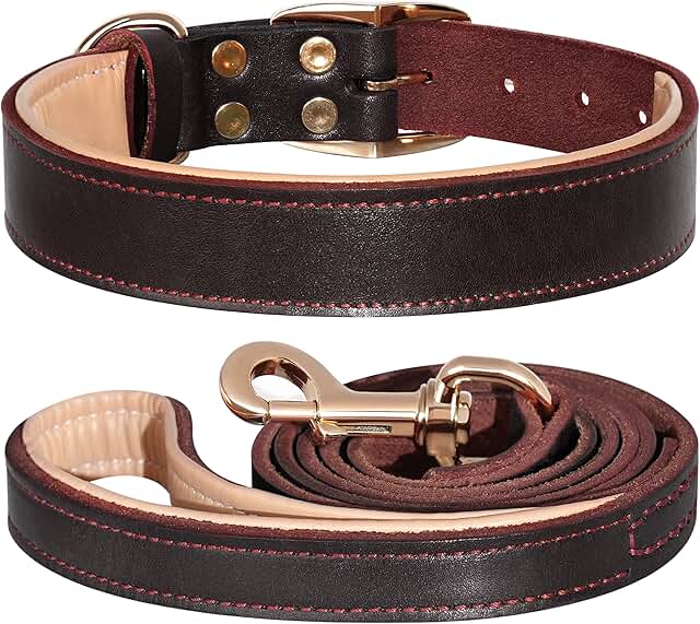 Soft Leather Dog Collar and Leash Set for Medium and Large Dogs