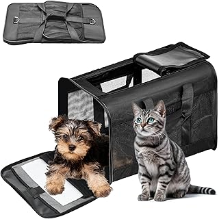 Collapsible Cat and Small Pet Carrier, 17 inches