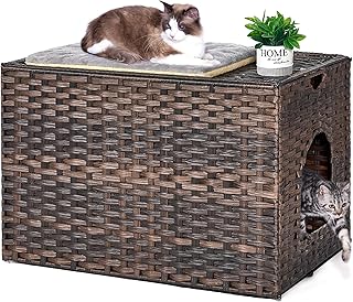 Cat Litter Box Enclosure with Mat and Rattan House