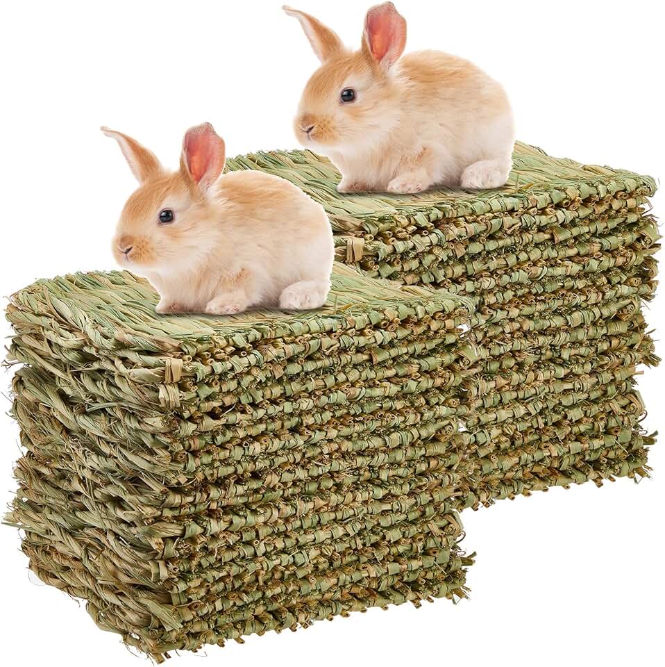 40 Pcs Grass Mats for Small Animals and Birds