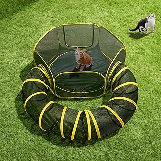 Outdoor Cat Enclosure with Play Tunnel and Storage
