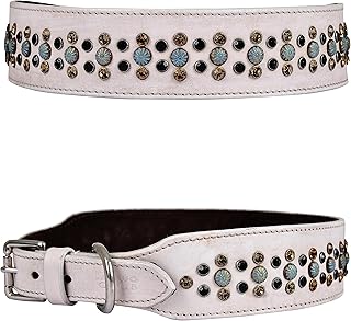 White Leather Dog Collar with Rhinestones and Padding